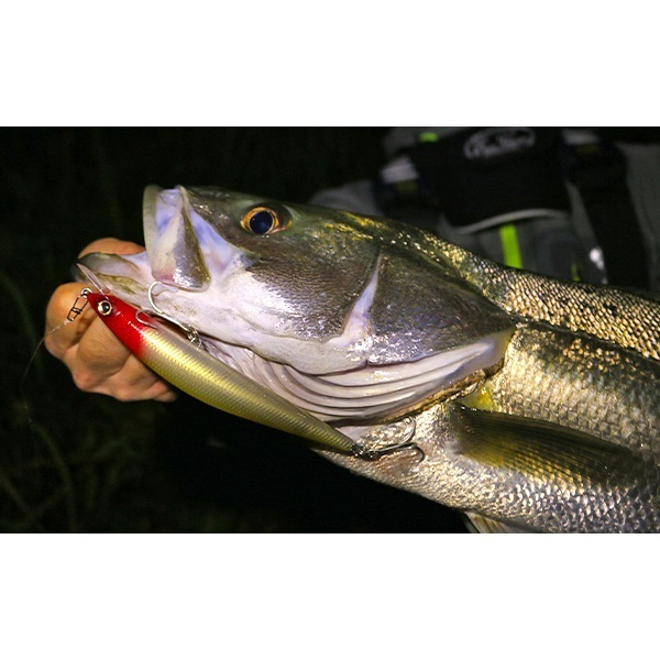 ワイドシーカー